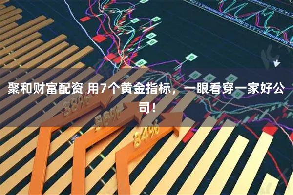 聚和财富配资 用7个黄金指标，一眼看穿一家好公司！